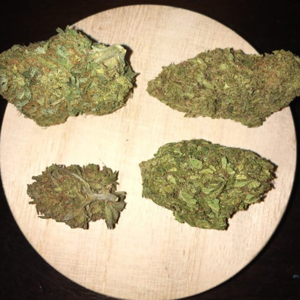 Buy AK-47 Marijuana Sativa Strain online