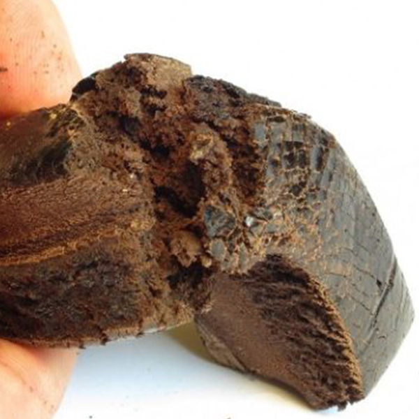 Buy Afghan Black Hash Online