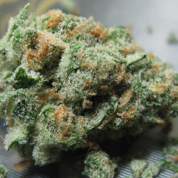 Buy Apollo 11 Marijuana Strain 1/2 ounce