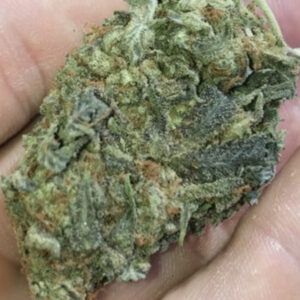 Buy Black Cherry Soda Marijuana Strain Online
