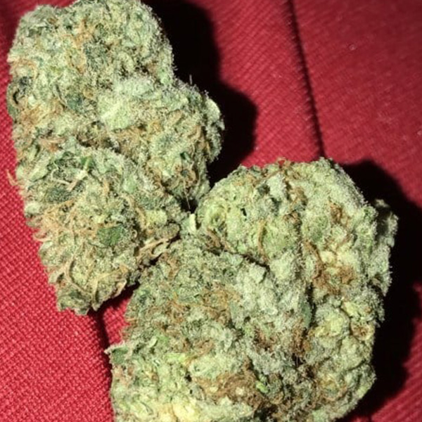 Buy Blue Dream Sativa Strain Online