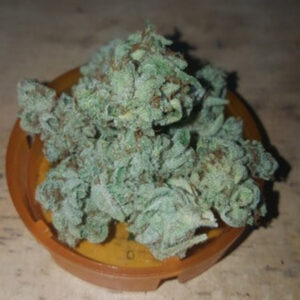 Buy Lemon OG Marijuana Strain Online