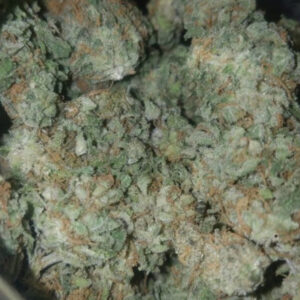 Buy Pineapple Express Marijuana Strain Online