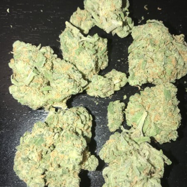 Buy Snoops Dream Marijuana Strain Online